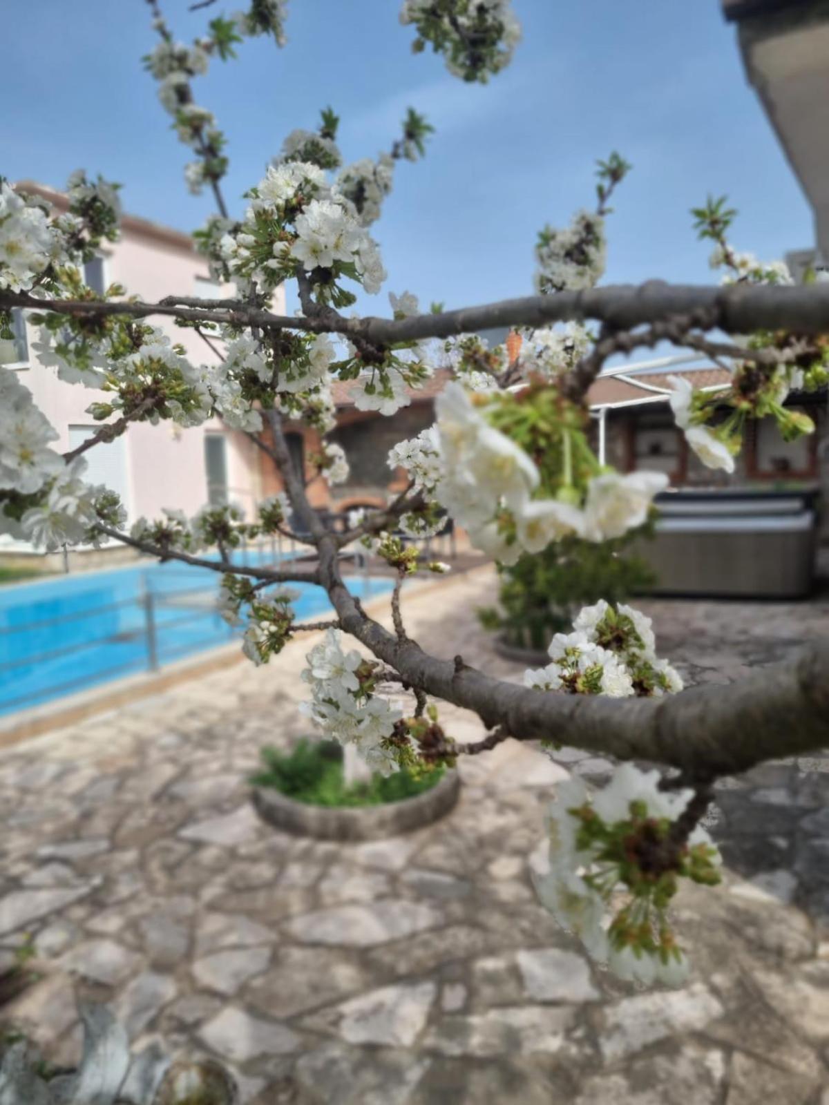 Hacienda Kolenda Daire Mostar Dış mekan fotoğraf