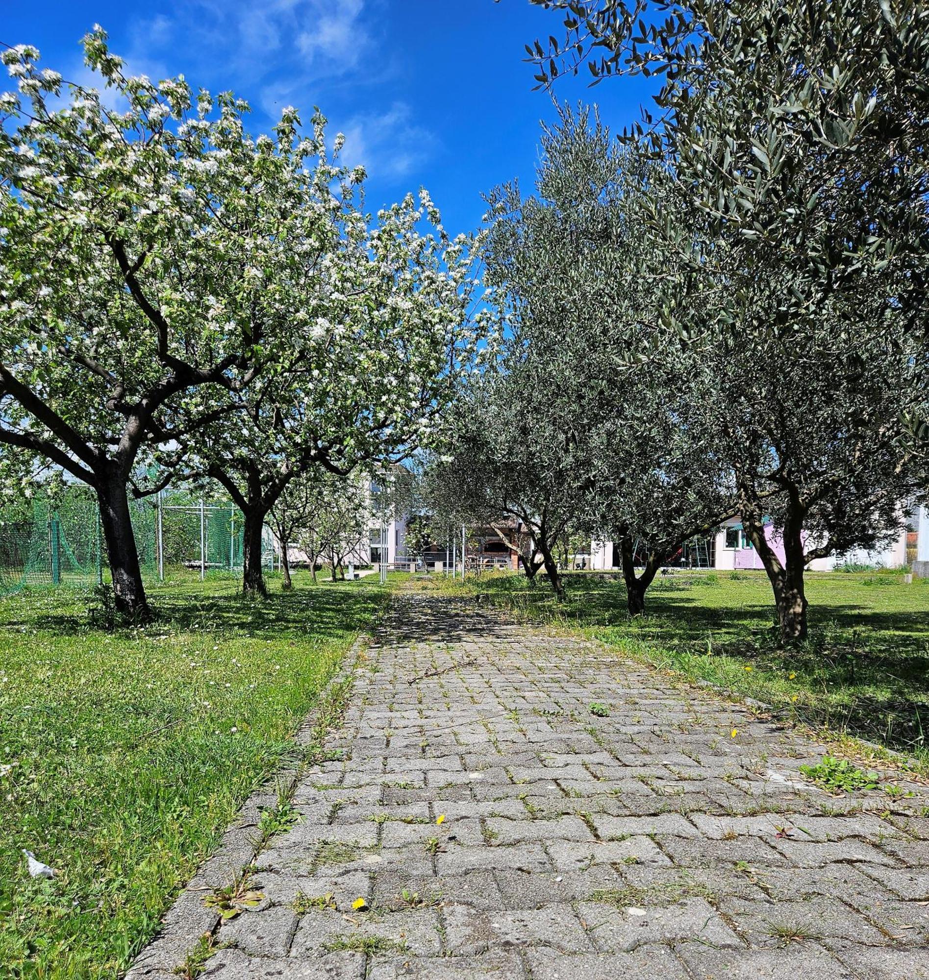 Hacienda Kolenda Daire Mostar Dış mekan fotoğraf